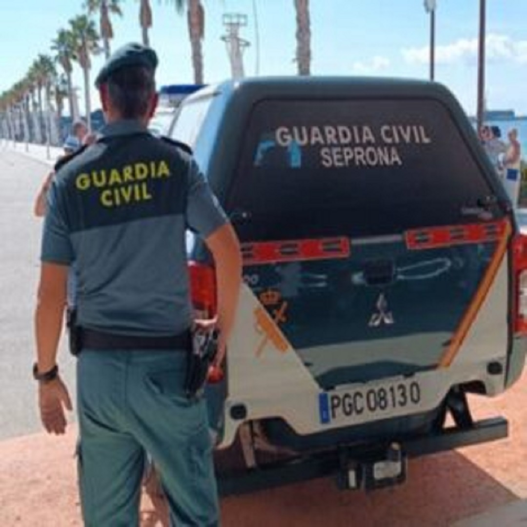 Academia Centro en Alicante, formación para oposiciones de Policía Nacional y Guardia Civil, acceso físico y temario para preparación